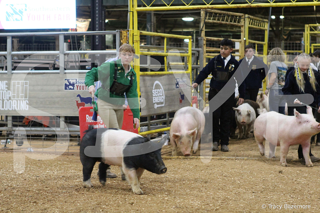 swine0875