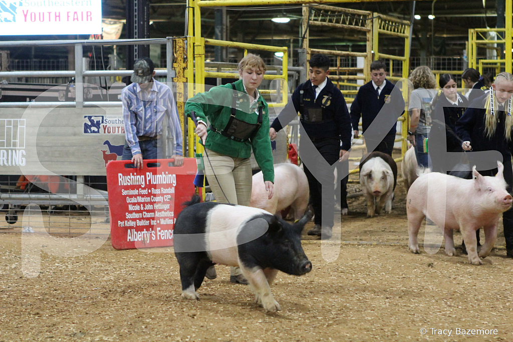 swine0876