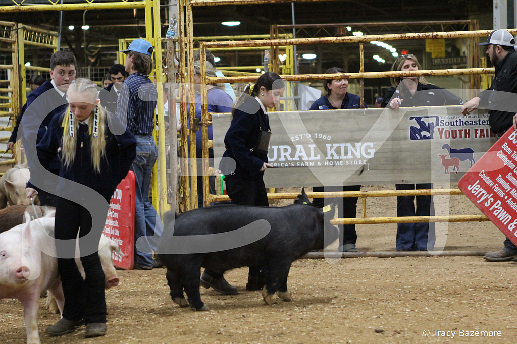 swine0880