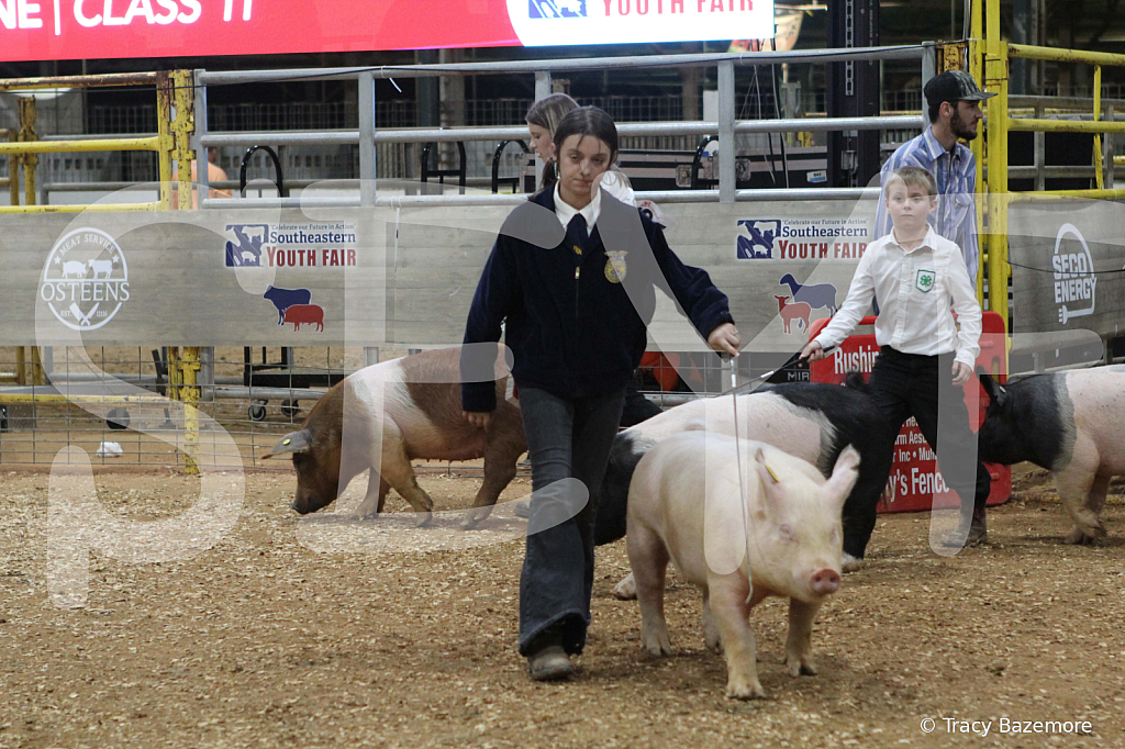 swine0884