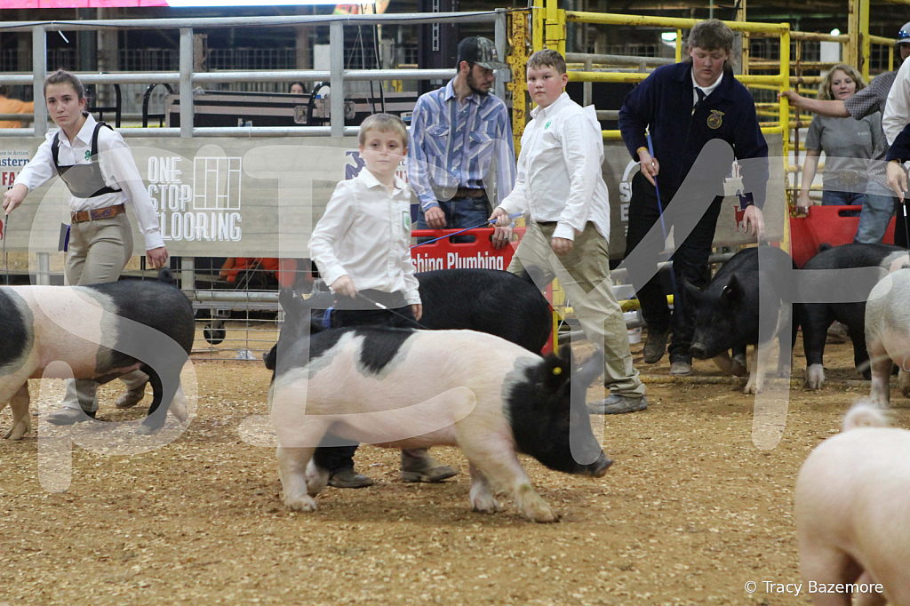 swine0887