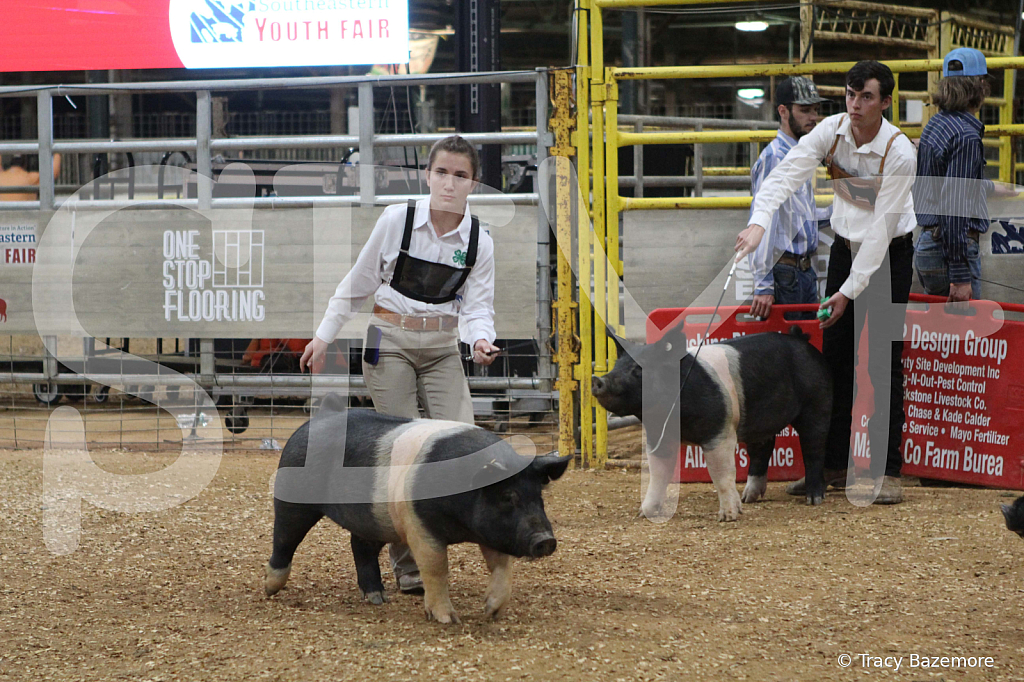 swine0890