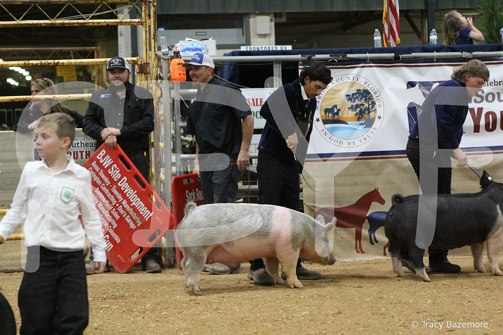 swine0891
