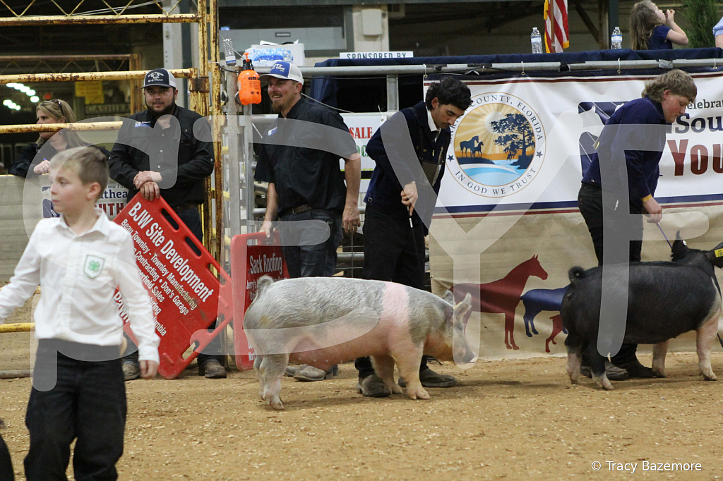 swine0892