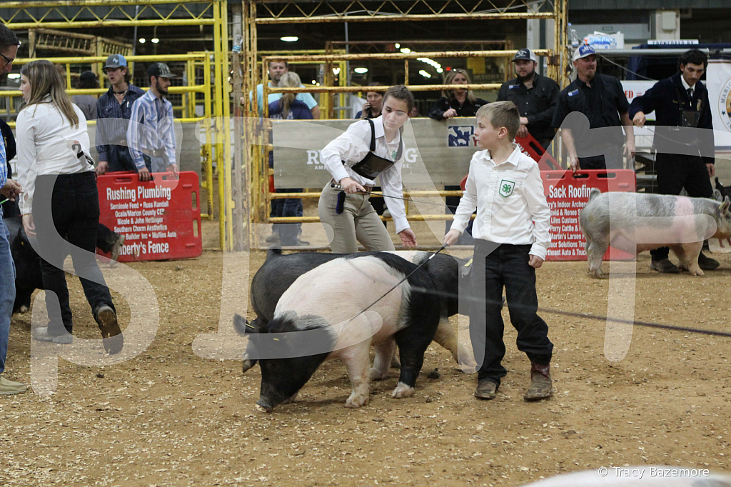 swine0893
