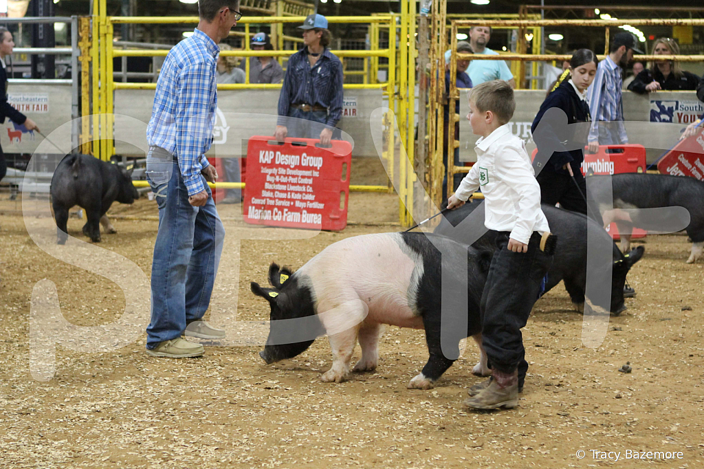swine0894