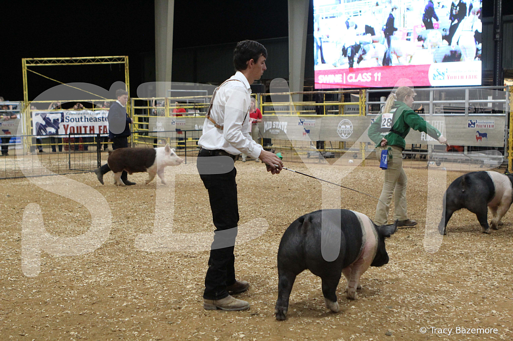swine0895