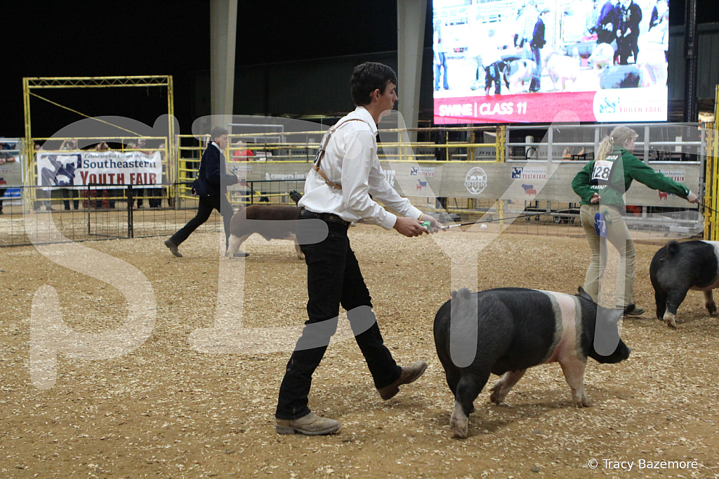 swine0896