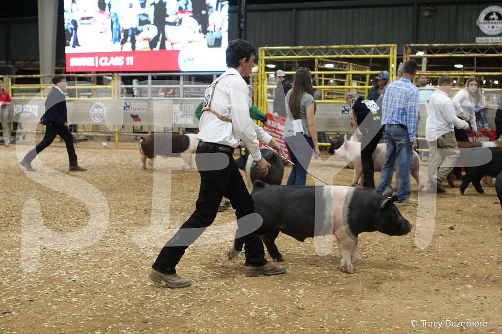 swine0897
