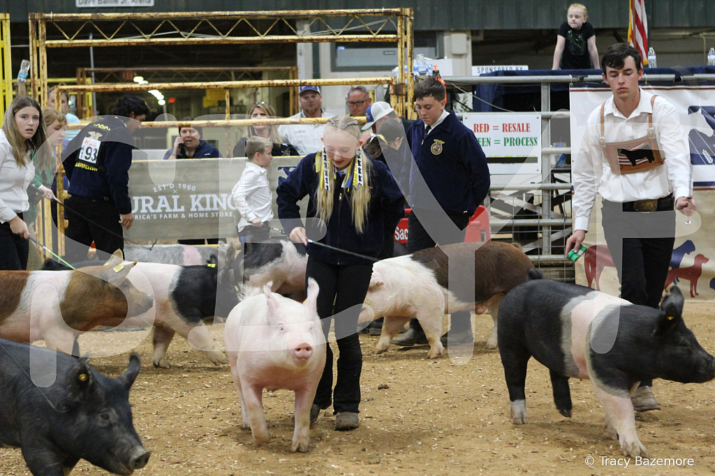 swine0898