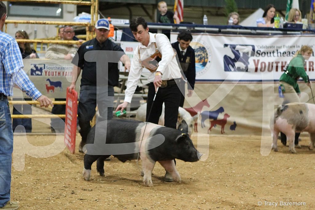 swine0899
