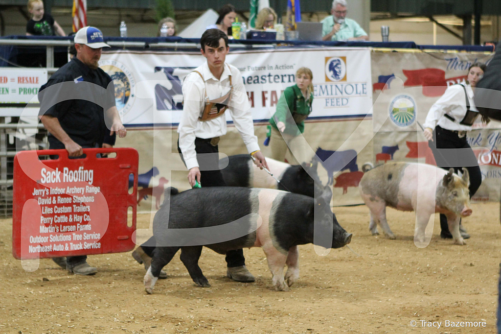 swine0900