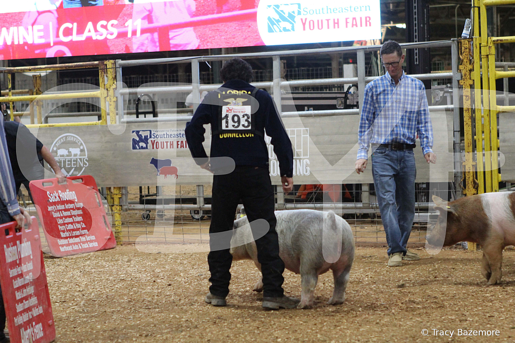 swine0902