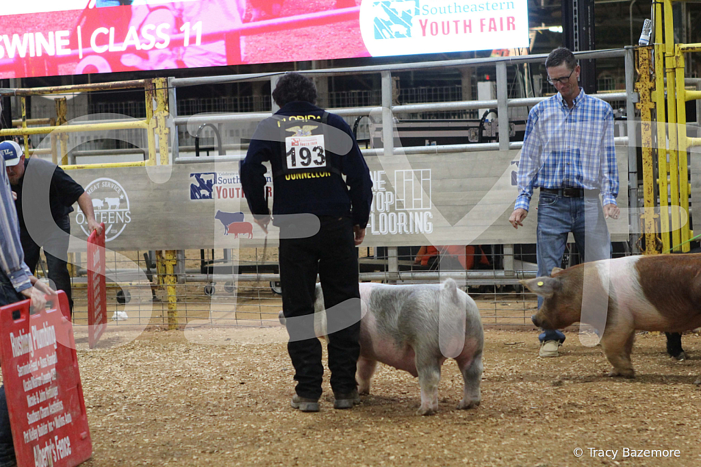 swine0903