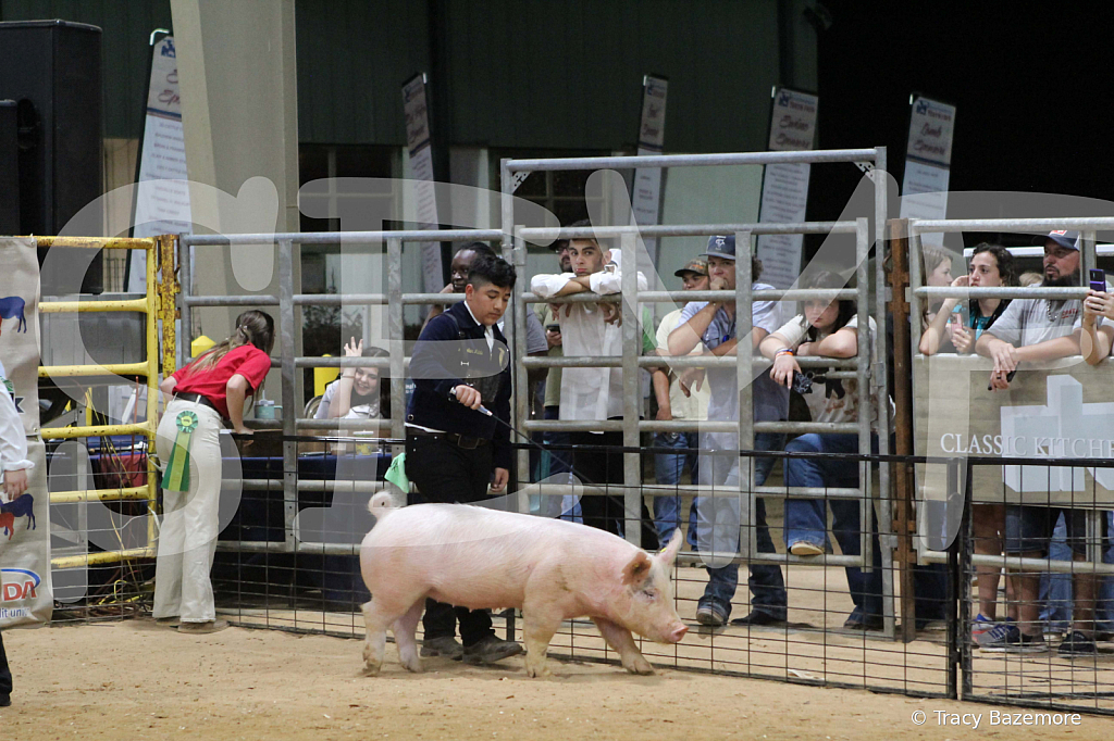 swine0904