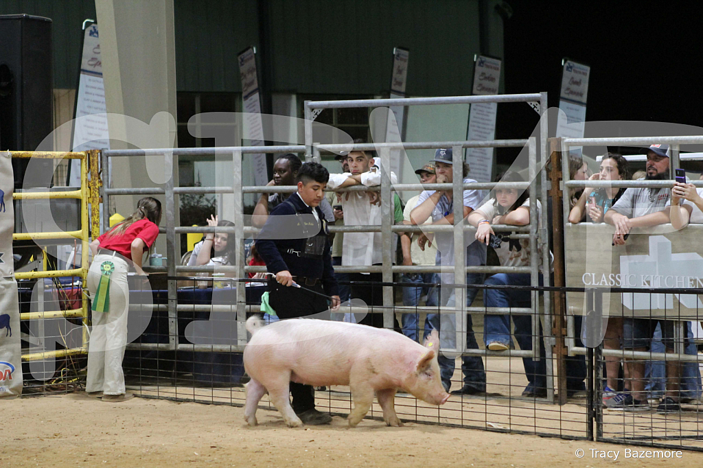 swine0905