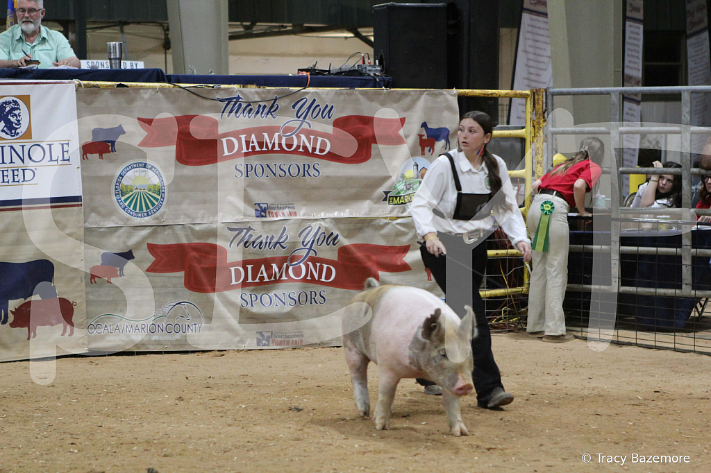 swine0906