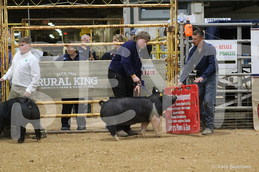 swine0908