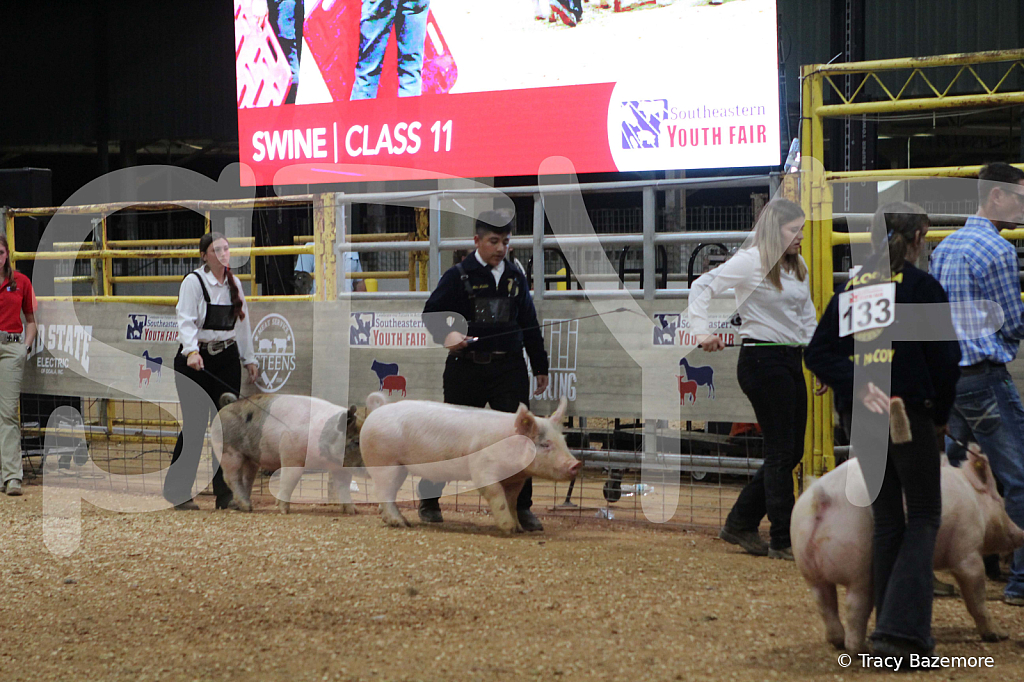 swine0911