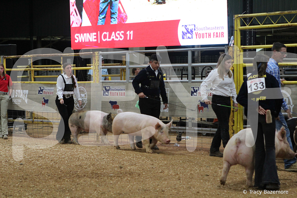 swine0912
