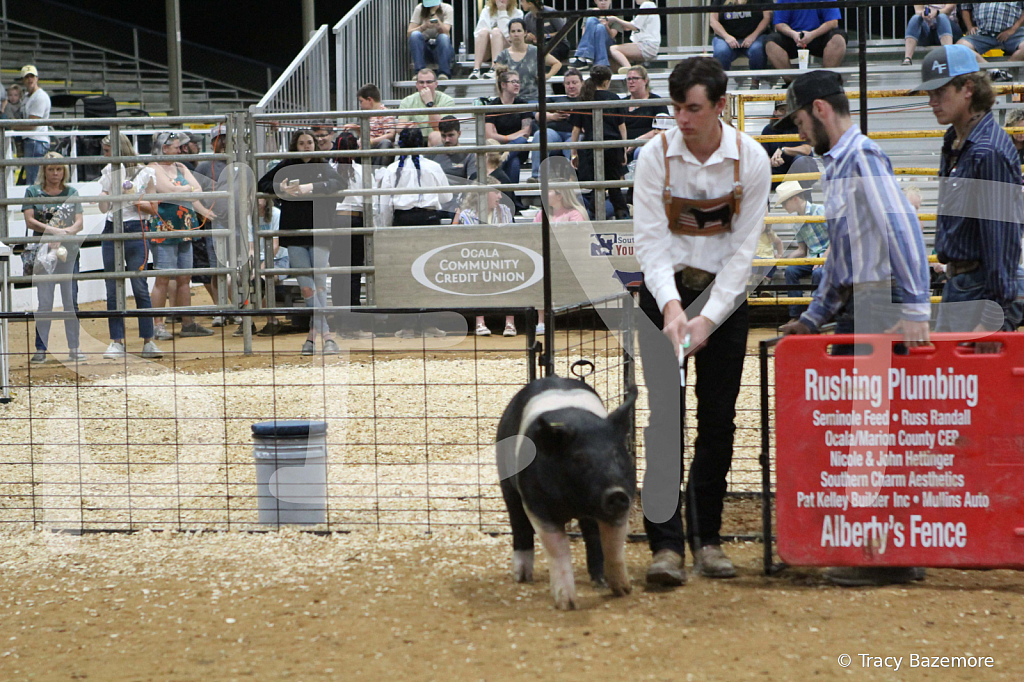 swine0914