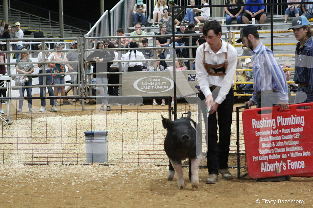swine0915