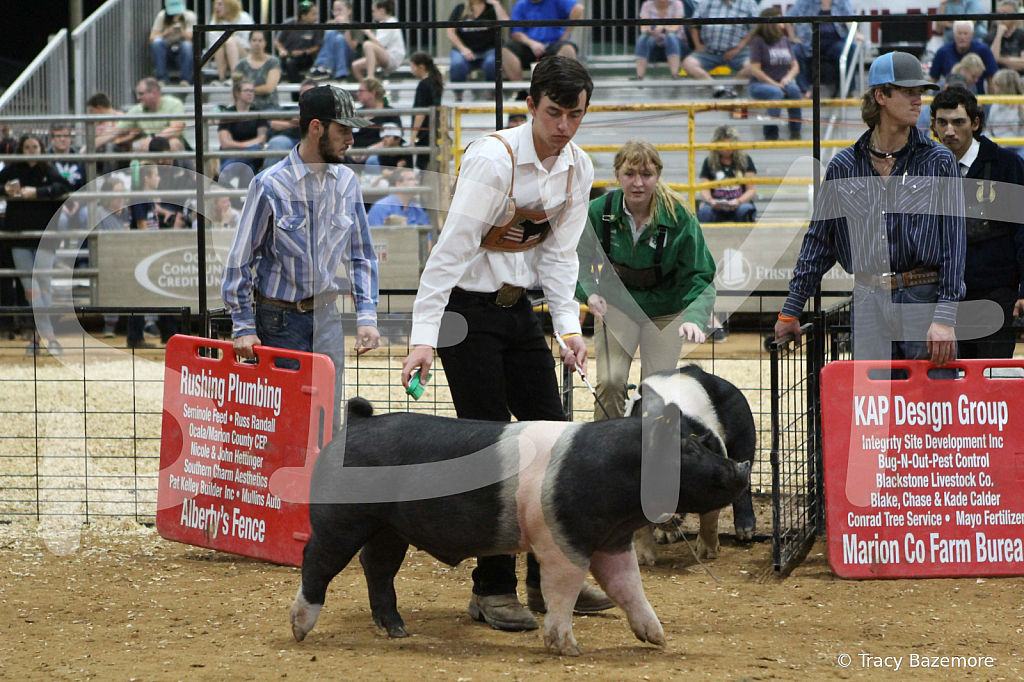 swine0916