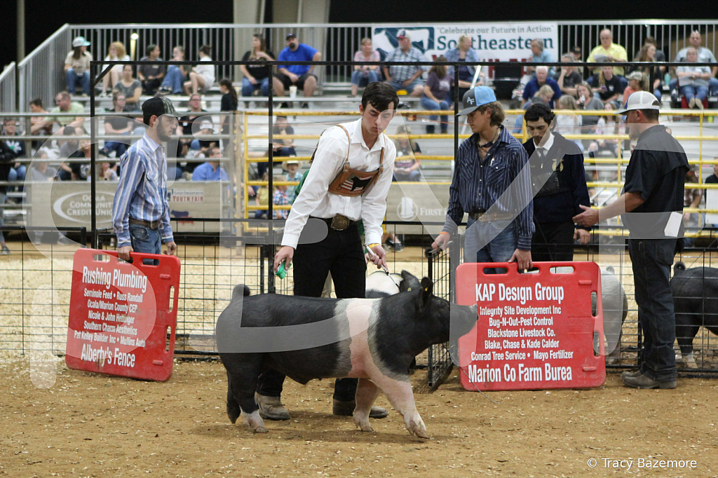 swine0917