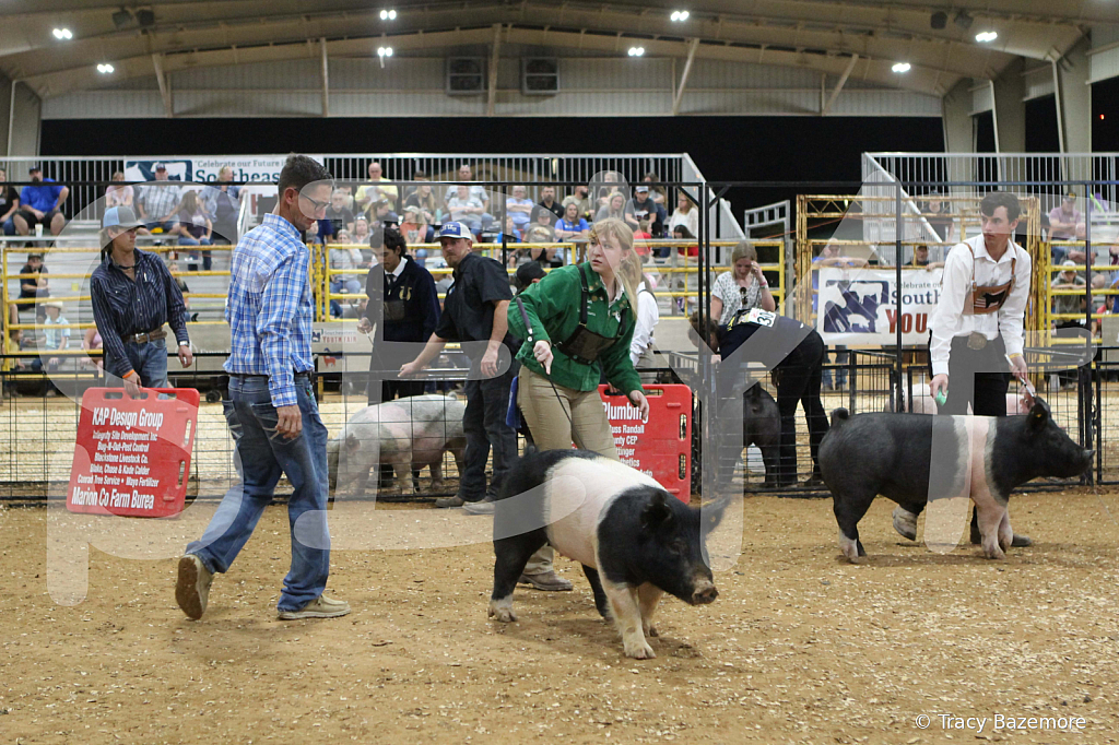 swine0919