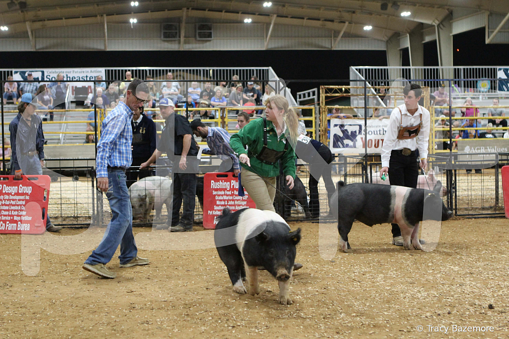 swine0920