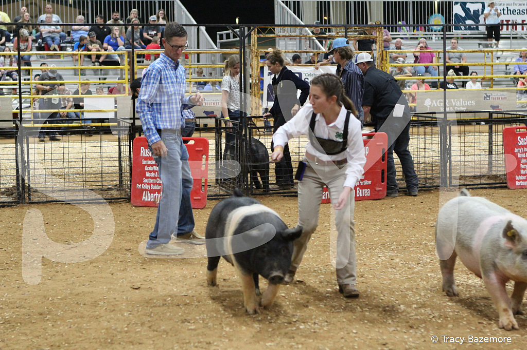 swine0926