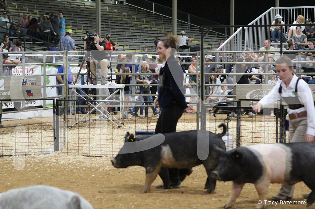 swine0927