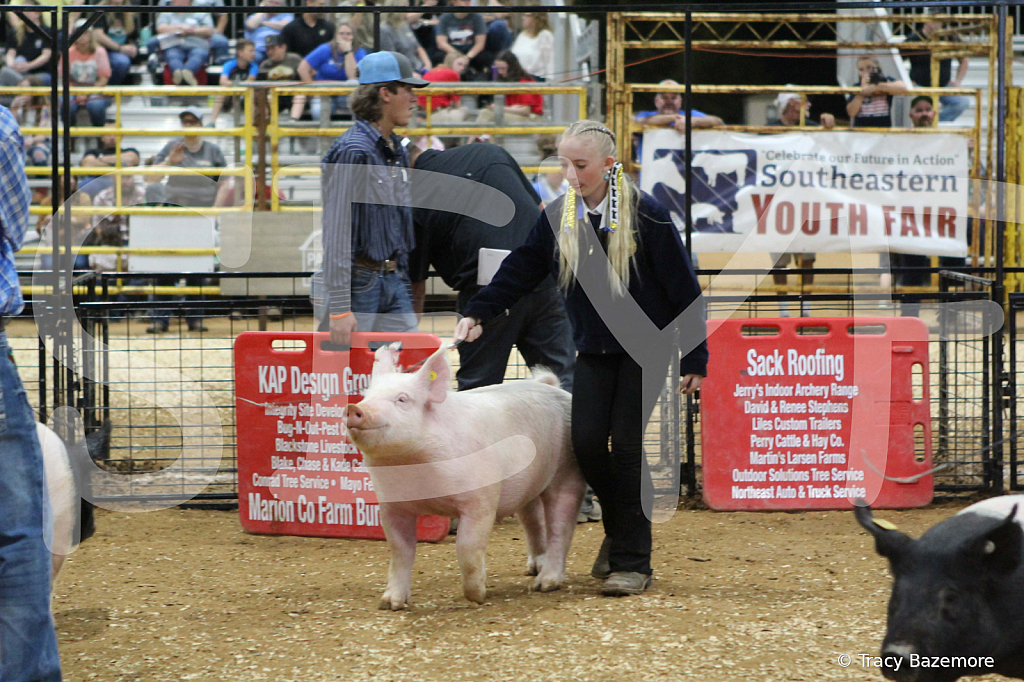 swine0928