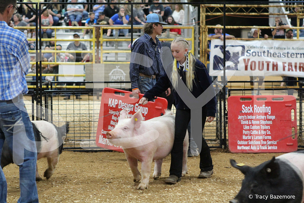 swine0929