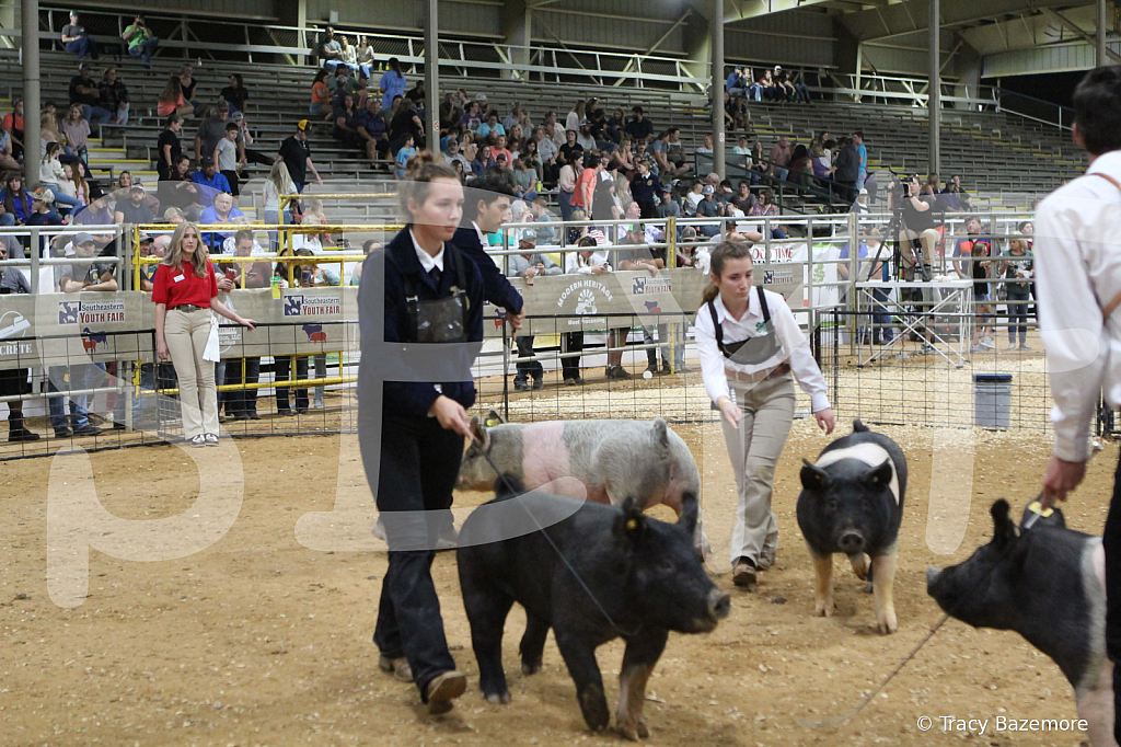 swine0930