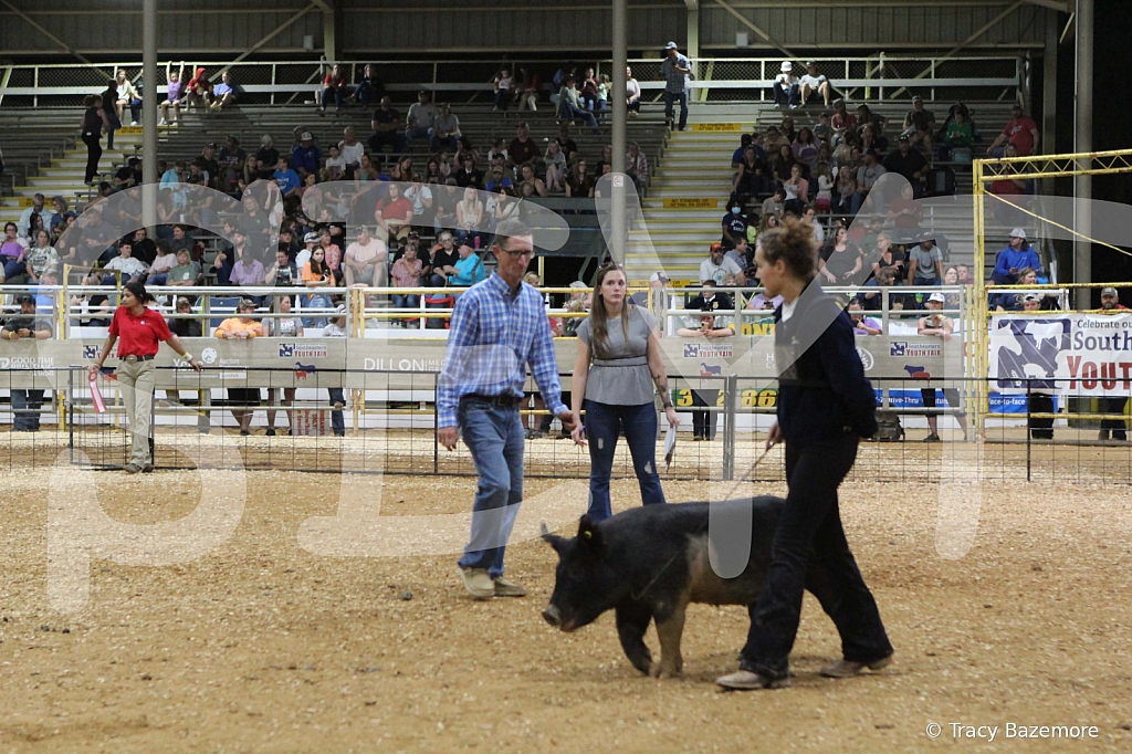 swine0933
