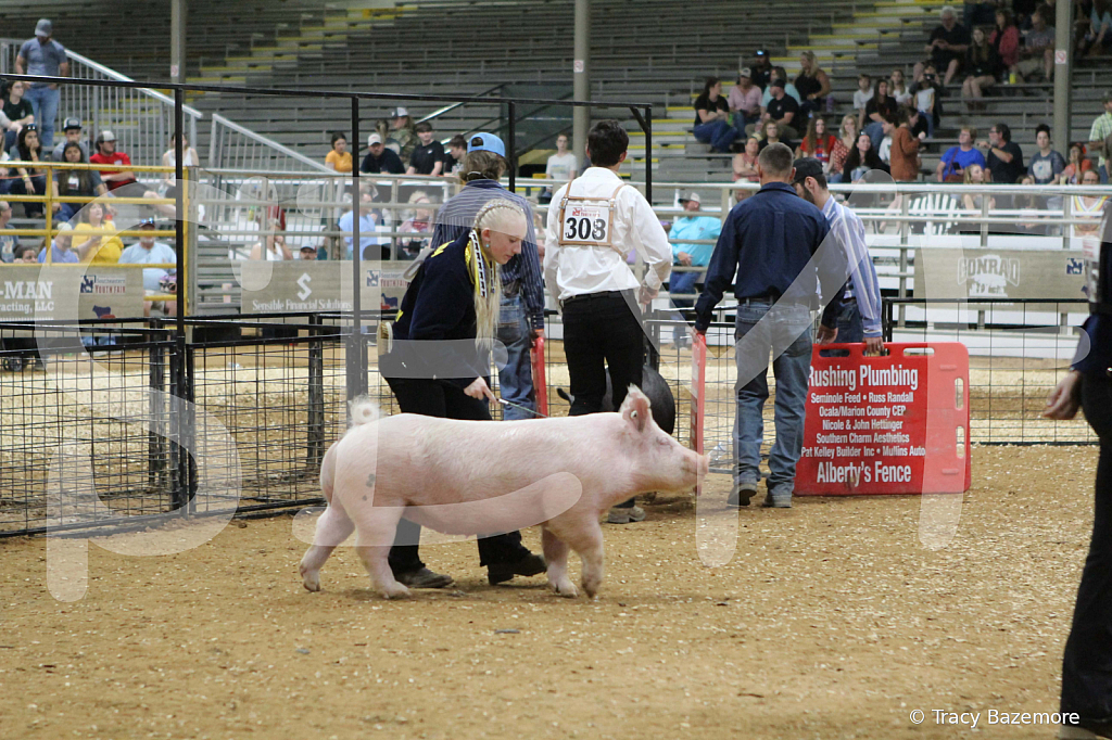 swine0935