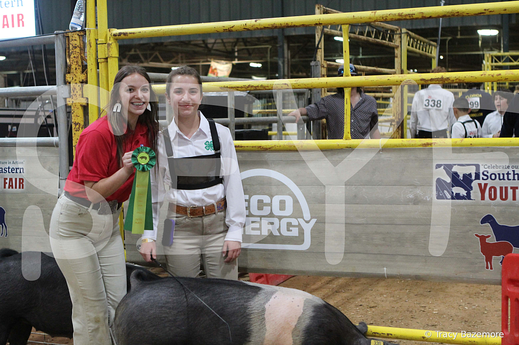 swine0942