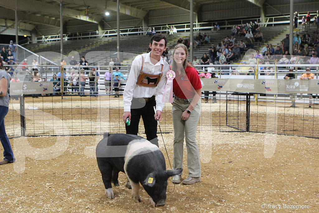 swine0944