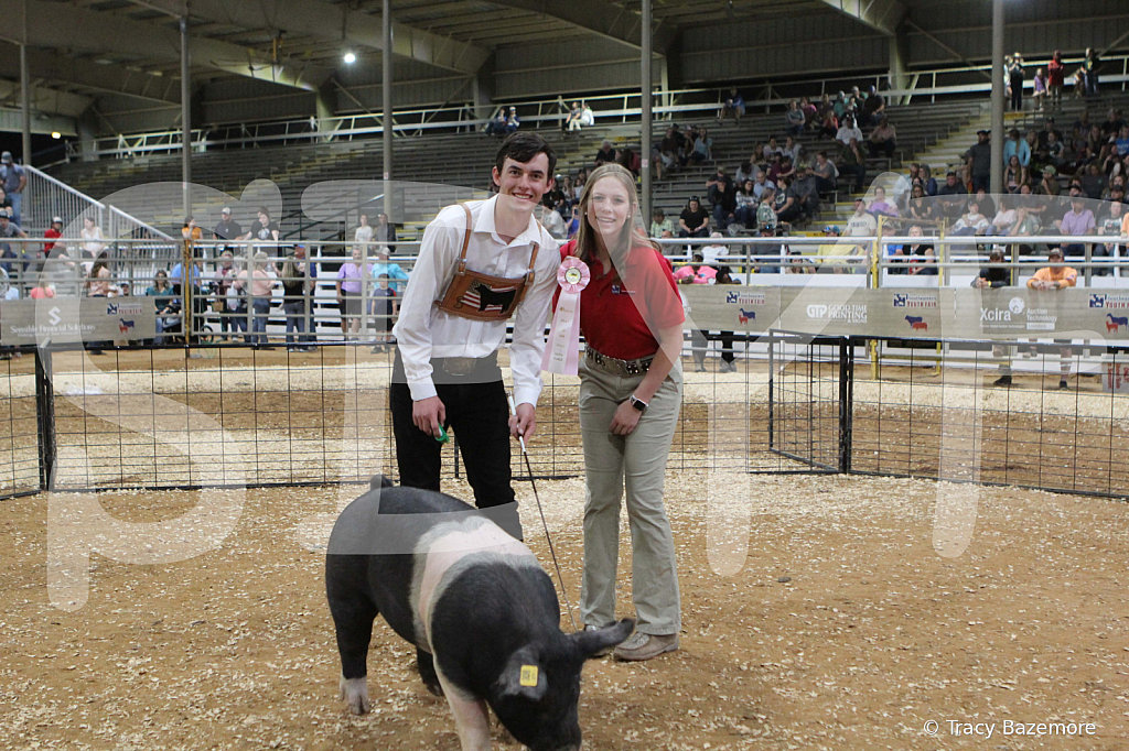 swine0945