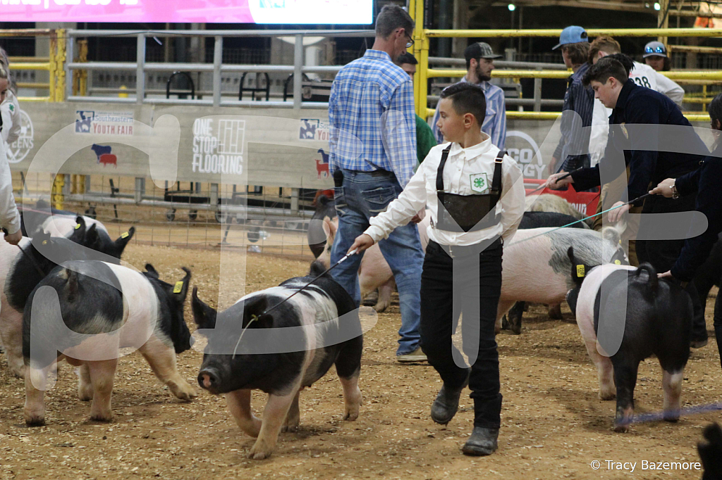 swine0963