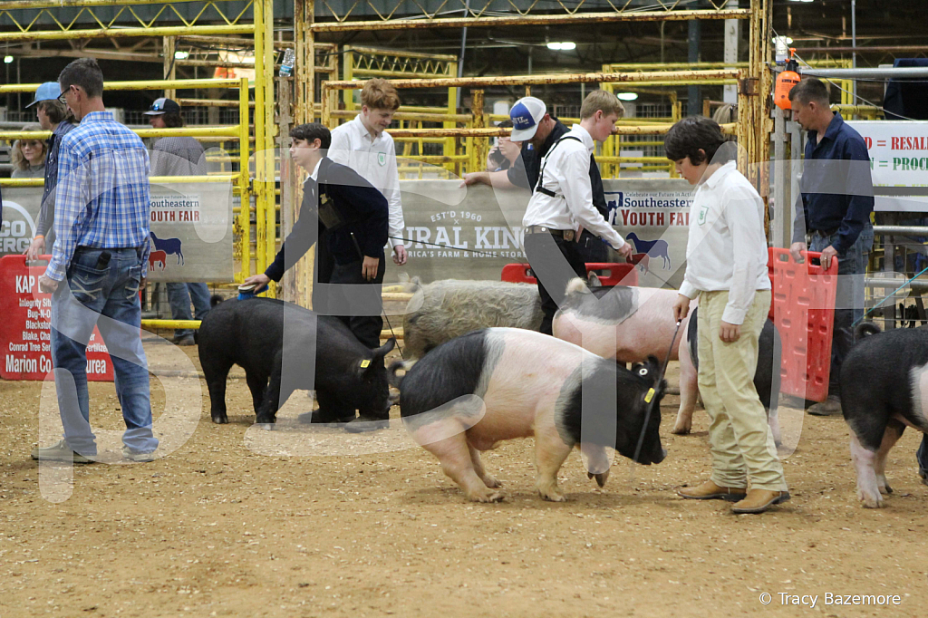swine0965