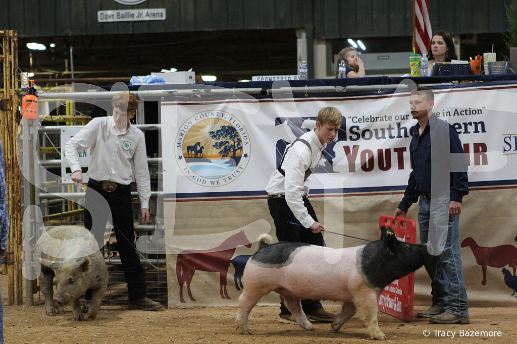 swine0968