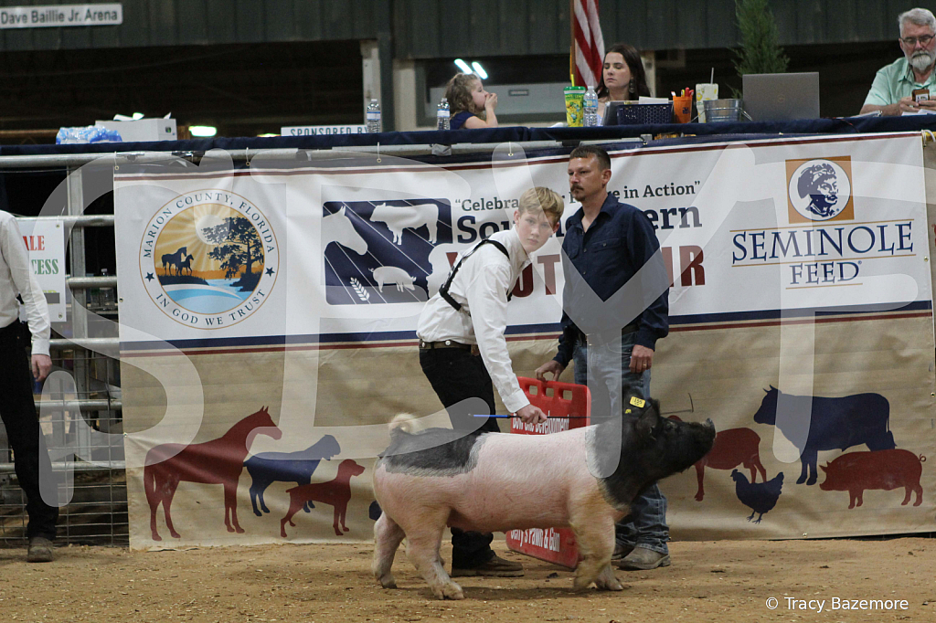 swine0969