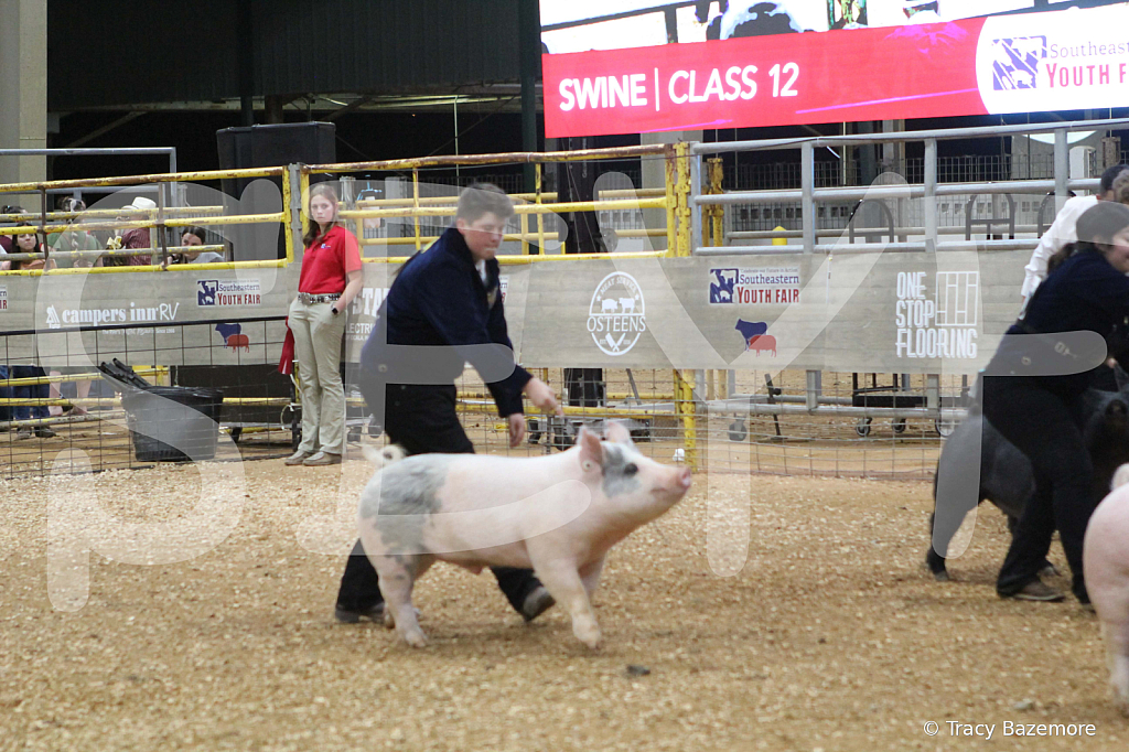 swine0972