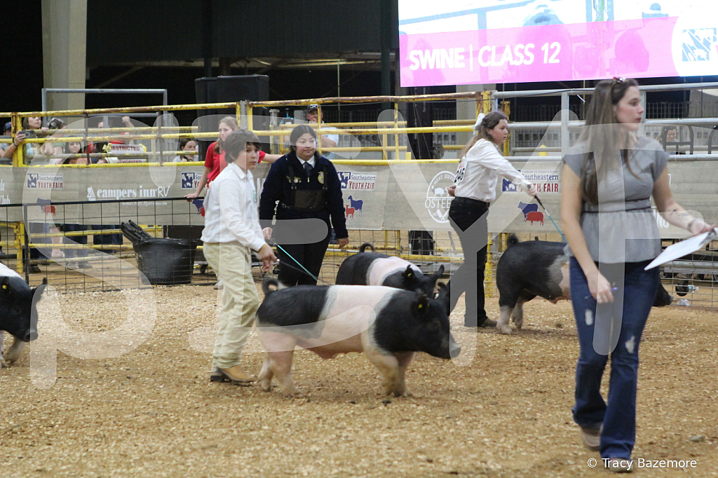 swine0976