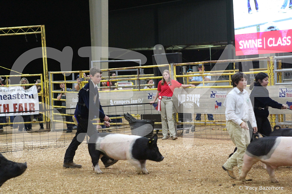 swine0977