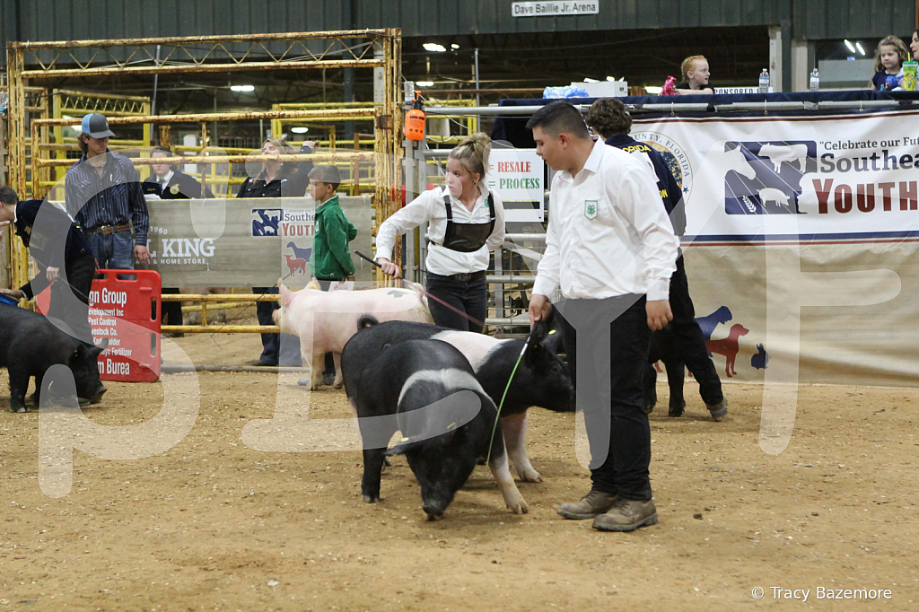 swine0978