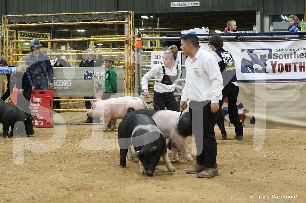 swine0979