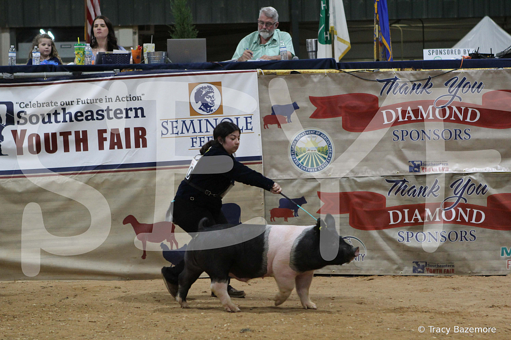 swine0980